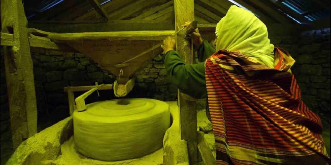 Tarihi su değirmenleri bereketle dönüyor! Yöre halkının elinden üretiliyor: Hem hanelere hem gurbete gıda oluyor 3
